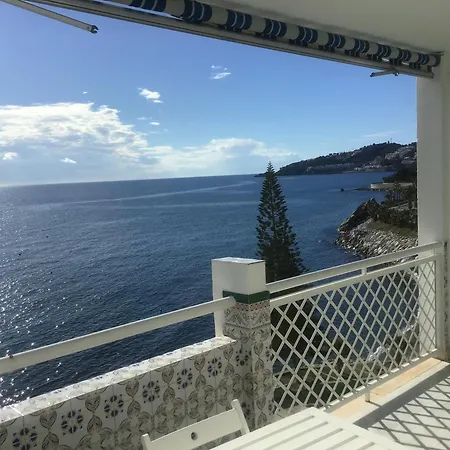 Delfin Views